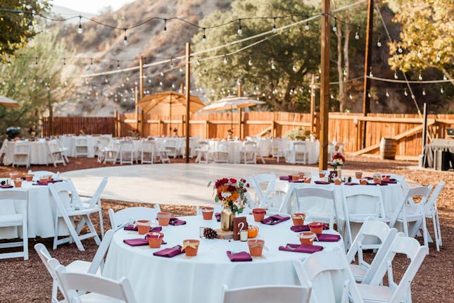 Reptacular Animals Ranch in the Forest - Sylmar, CA #11