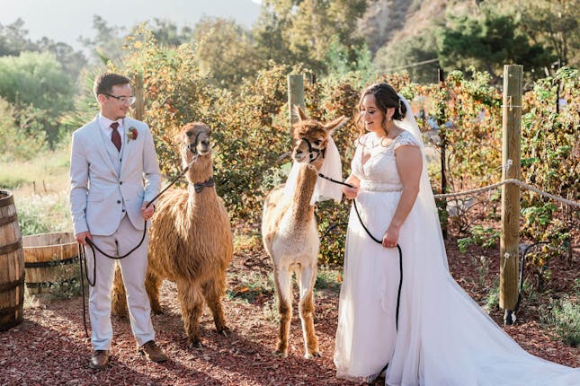 Reptacular Animals Ranch in the Forest - Sylmar, CA #9