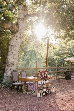 Reptacular Animals Ranch in the Forest - Sylmar, CA #13