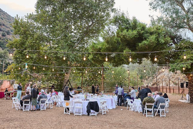 Reptacular Animals Ranch in the Forest - Sylmar, CA #4