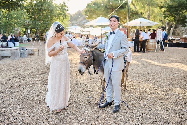 Reptacular Animals Ranch in the Forest - Sylmar, CA #12