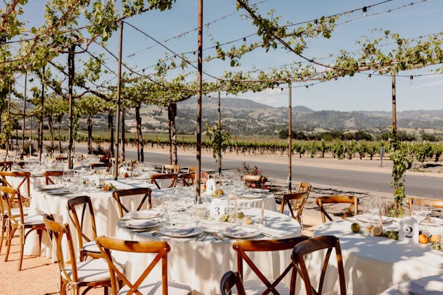 Trentadue Winery - Geyserville, CA #21