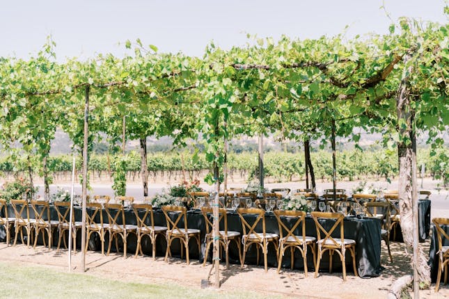 Trentadue Winery - Geyserville, CA #20
