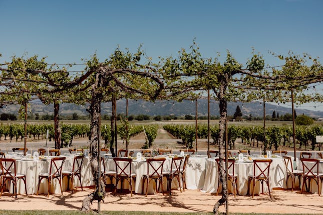 Trentadue Winery - Geyserville, CA #2