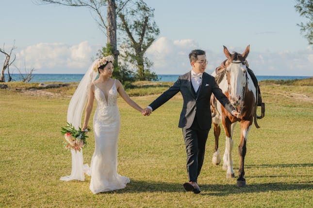 Hawaii Polo Club - Waialua, HI #3