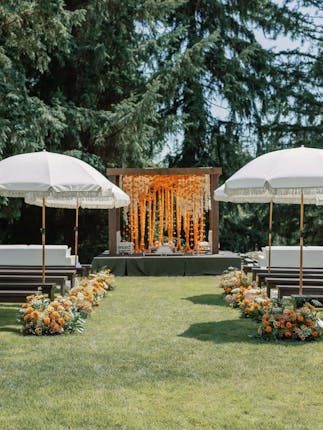 Trinity Tree Farm - Issaquah, WA #2