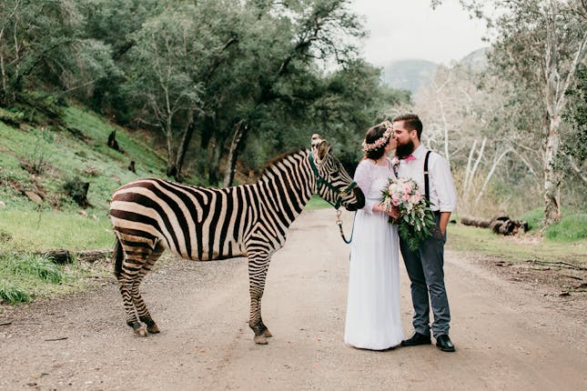 Reptacular Animals Ranch in the Forest - Sylmar, CA #2