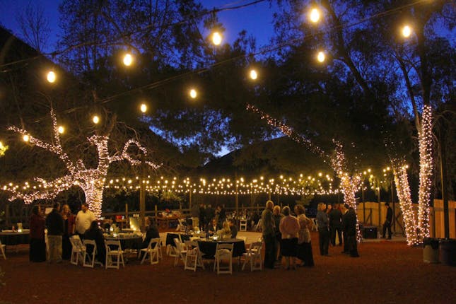 Reptacular Animals Ranch in the Forest - Sylmar, CA #18